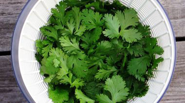 garnishing-instructions-image